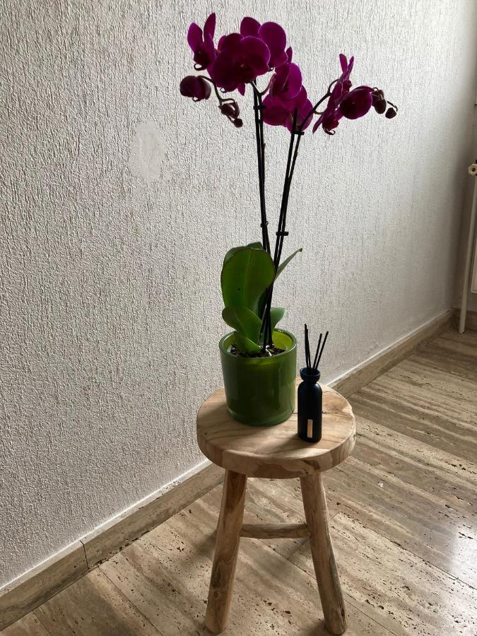 Rustig Appartement In Het Groen Met Terras Kontich Exterior foto
